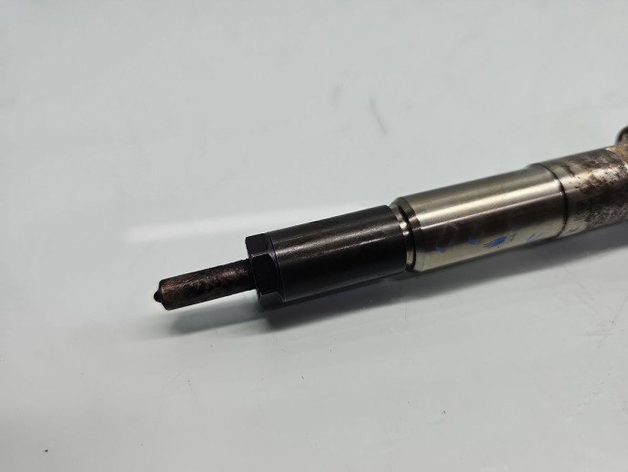 Injector  Renault Megane 3 [Fabr 2008-2015] 166008052R 1.5 DCI K9K646 81KW / 110CP