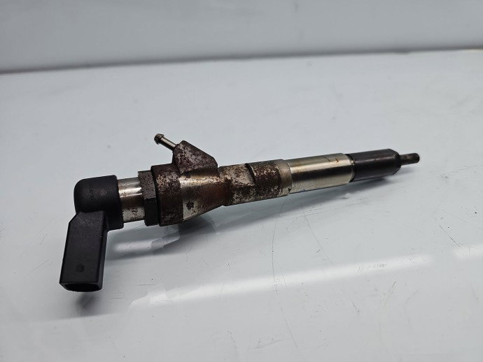 Injector  Renault Scenic 3 [Fabr 2009-2015] 166008052R 1.5 DCI K9K646 81KW / 110CP