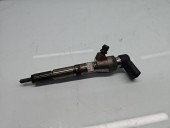 Injector  Renault Scenic 3 [Fabr 2009-2015] 166008052R 1.5 DCI K9K646 81KW / 110CP