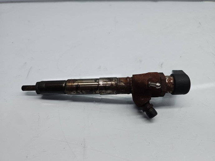Injector  Renault Megane 3 [Fabr 2008-2015] 166008052R 1.5 DCI K9K646 81KW / 110CP
