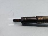 Injector  Renault Megane 3 [Fabr 2008-2015] 166008052R 1.5 DCI K9K646 81KW / 110CP