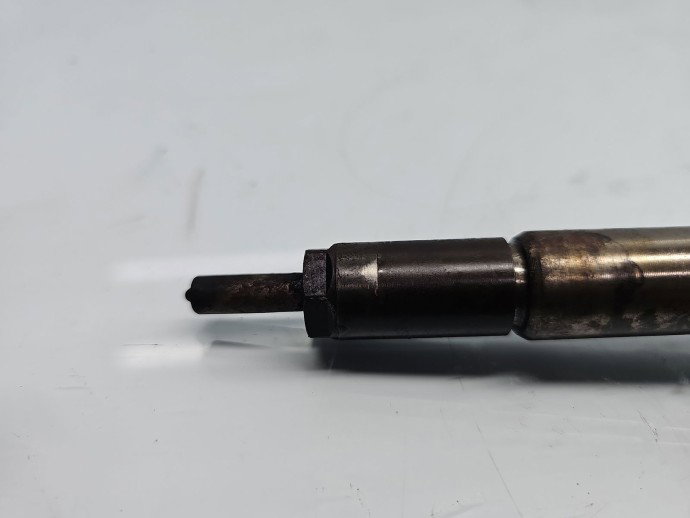 Injector  Renault Scenic 3 [Fabr 2009-2015] 166008052R 1.5 DCI K9K646 81KW / 110CP
