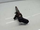 Injector  Renault Scenic 3 [Fabr 2009-2015] 166008052R 1.5 DCI K9K646 81KW / 110CP