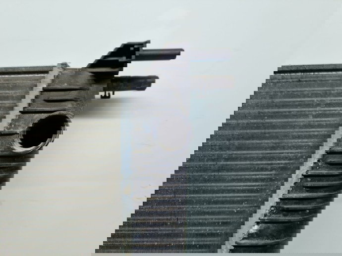 Radiator apa  Renault Scenic 3 [Fabr 2009-2015] 214100014R 1.6 Benz K4M848 81KW / 110CP