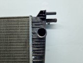 Radiator apa  Renault Scenic 3 [Fabr 2009-2015] 214100014R 1.6 Benz K4M848 81KW / 110CP