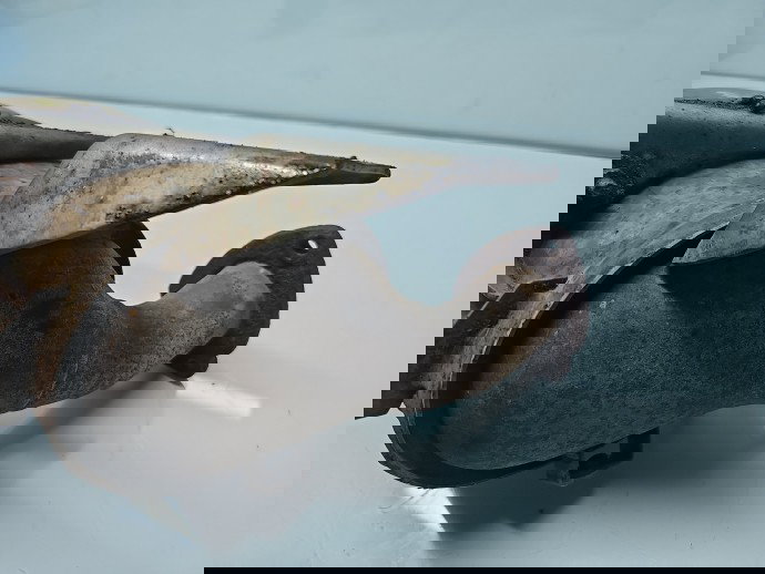 Filtru particule Opel Astra J [Fabr 2009-2015] 55574666 2.0 CDTI A20DTH 118KW / 160CP