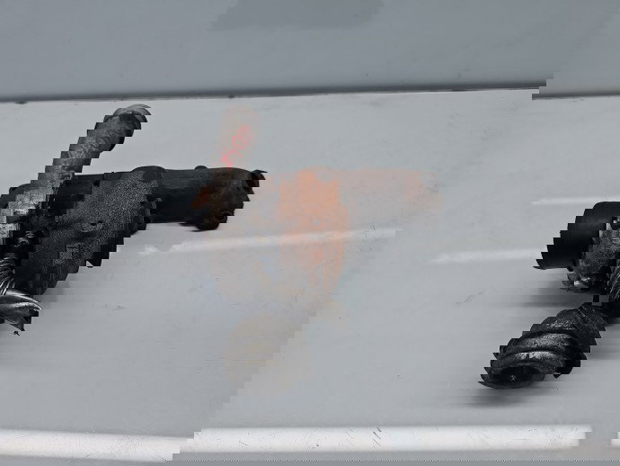 Turbina Opel Astra H [Fabr 2004-2009] 55195765 1.9 CDTI  Z19DT 88KW / 120CP