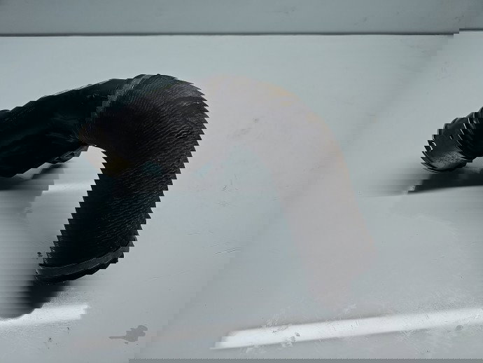 Rezonator turbo Volvo XC90 II [Fabr 2015-2024] 31422061