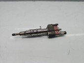 Injector  Bmw 3 (E90) [Fabr 2005-2011] 7589048 2.0 Benz N43B20 105KW / 143CP