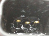 Rampa injectoare OEM Ford Focus 2 (DA) [Fabr 2004-2012] 1.6 GBDB