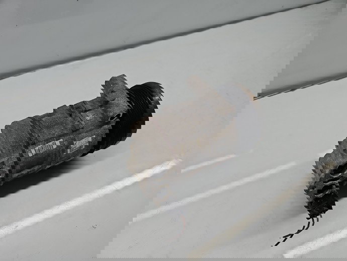 Compresor clima Fiat Grande Punto (199) [Fabr 2005-2009] 55194880 1.2 B 199A4000 48KW / 65CP