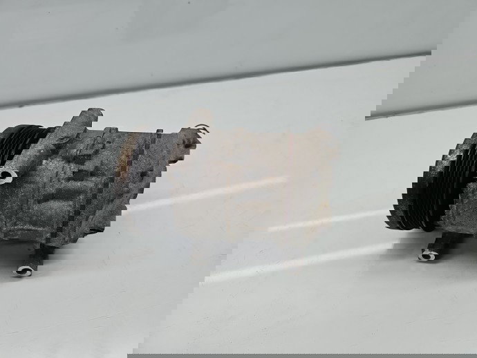 Compresor clima Fiat Grande Punto (199) [Fabr 2005-2009] 55194880 1.2 B 199A4000 48KW / 65CP