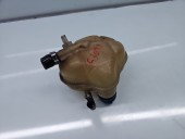 Vas expansiune Fiat Punto (199) [Fabr 2010-2018] OEM