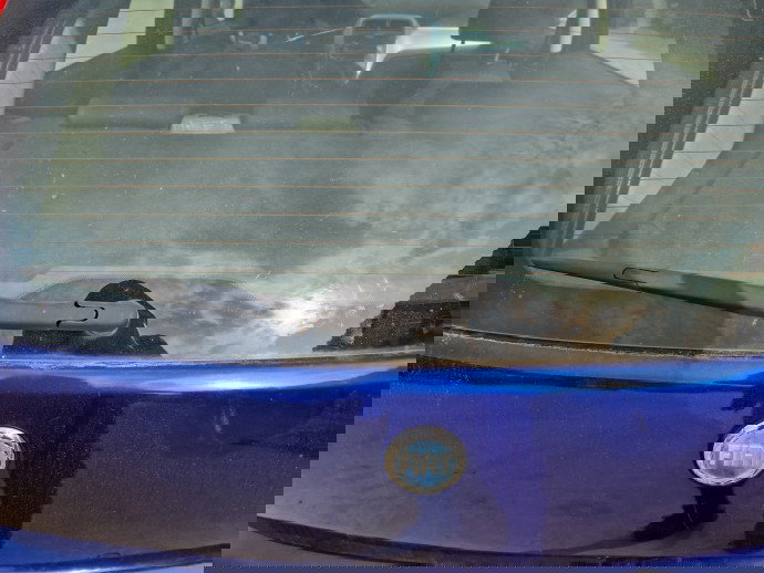 Motoras stergator haion Fiat Grande Punto (199) [Fabr 2005-2009] OEM