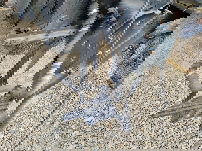 Suport radiator Volvo XC90 II [Fabr 2015-2024] SUV 31437382