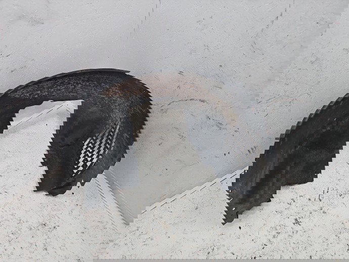 Carenaj roata dreapta fata Jaguar XF (X250) [Fabr 2008-2015] Facelift Berlina CX23-166562-AB