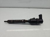 Injector Fiat Grande Punto (199) [Fabr 2005-2009] 0445110351 1.3 HDi 9HZ 55KW / 75CP