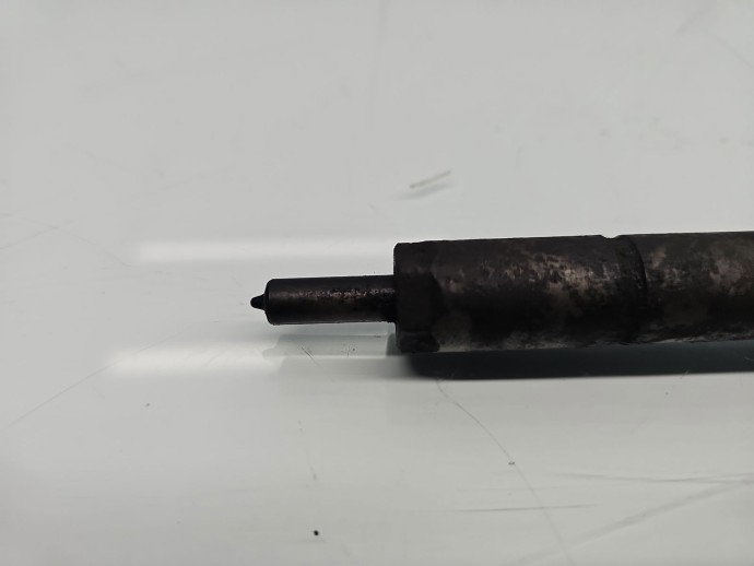 Injector Fiat Grande Punto (199) [Fabr 2005-2009] 0445110351 1.3 HDi 9HZ 55KW / 75CP