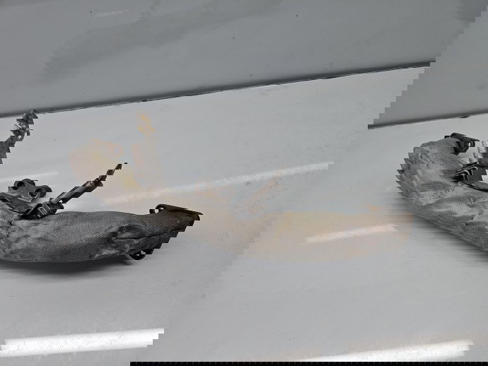 Conducta gaze Jaguar XF (X250) [Fabr 2008-2015] Facelift 4H2Q-5K229-FB 202KW / 275CP