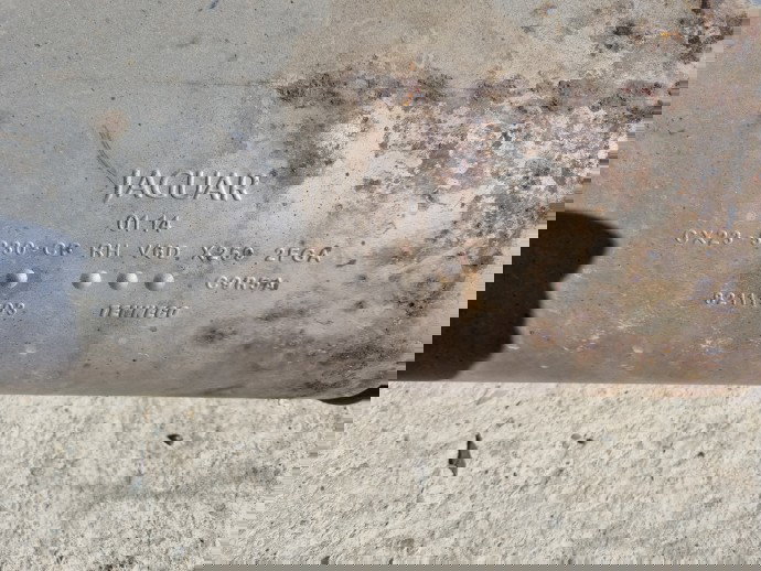 Toba esapament Jaguar XF (X250) [Fabr 2008-2015] Facelift CX23-5230-CB 202KW / 275CP