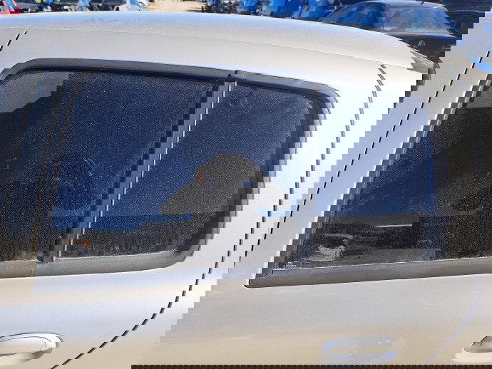 Geam usa stanga spate Renault Symbol / Thalia [Fabr 1998-2007] Berlina OEM