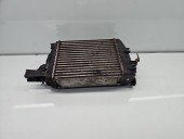 Radiator intercooler  Dacia Sandero 2 [Fabr 2012-2020] 144965154R 1.5 dCi K9K792 66KW / 90CP