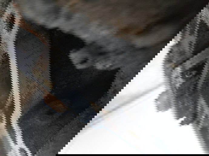 Motor complet ambielat Volkswagen Transporter 5 (7HB, 7HJ) [Fabr 2004-2013] CAAA 2.0 TDI CAAA 62KW / 85CP