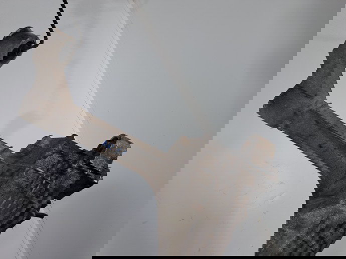 Grup diferential fata Nissan Navara (D40) [Fabr 2005-2014] OEM 2.5 DCi YD25DEI 140KW / 190CP