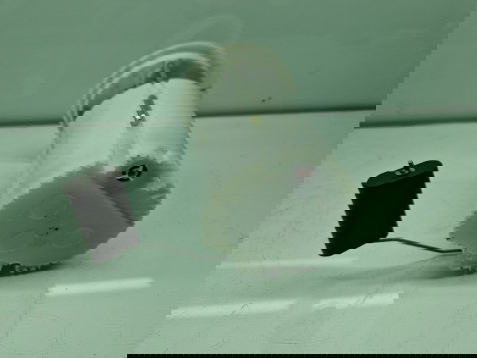 Pompa combustibil Opel Corsa E [Fabr 2014-prezent] 13436579 1.4 Benz B14XEL 66KW / 90CP