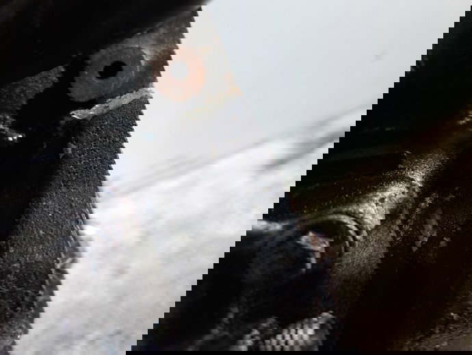 Motor complet ambielat AUDI A4 (8K5, B8) Avant [Fabr 2008-2015] CAGA 2.0 TDI CAGA 105KW / 143CP