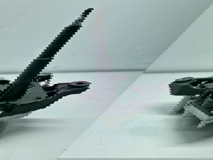 Motoras stergator haion Dacia Duster 2 [Fabr 2017-2023] 287108228R