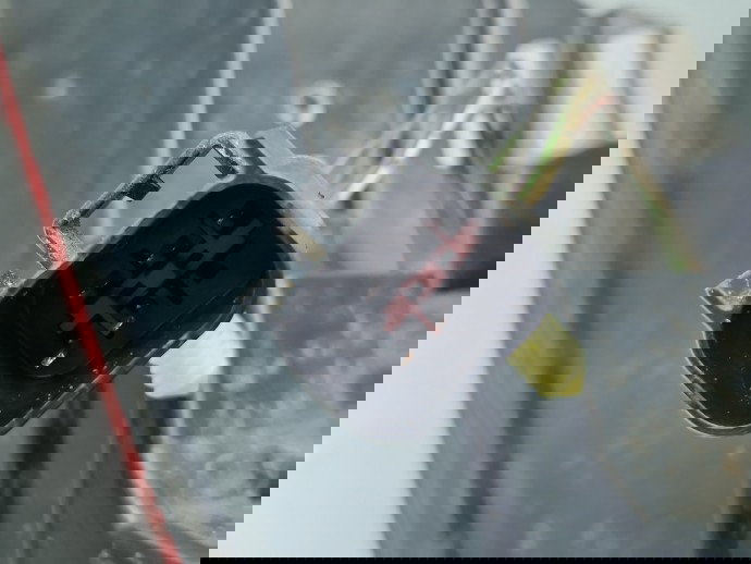 Stop aripa dreapta Jaguar XF (X250) [Fabr 2008-2015] Facelift CX23-13404-AC