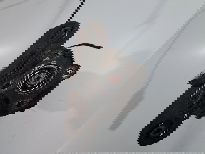 Grup diferential spate Nissan Qashqai [Fabr 2007-2014] Facelift R145 2B 2.0 DCI M9R 110KW / 150CP