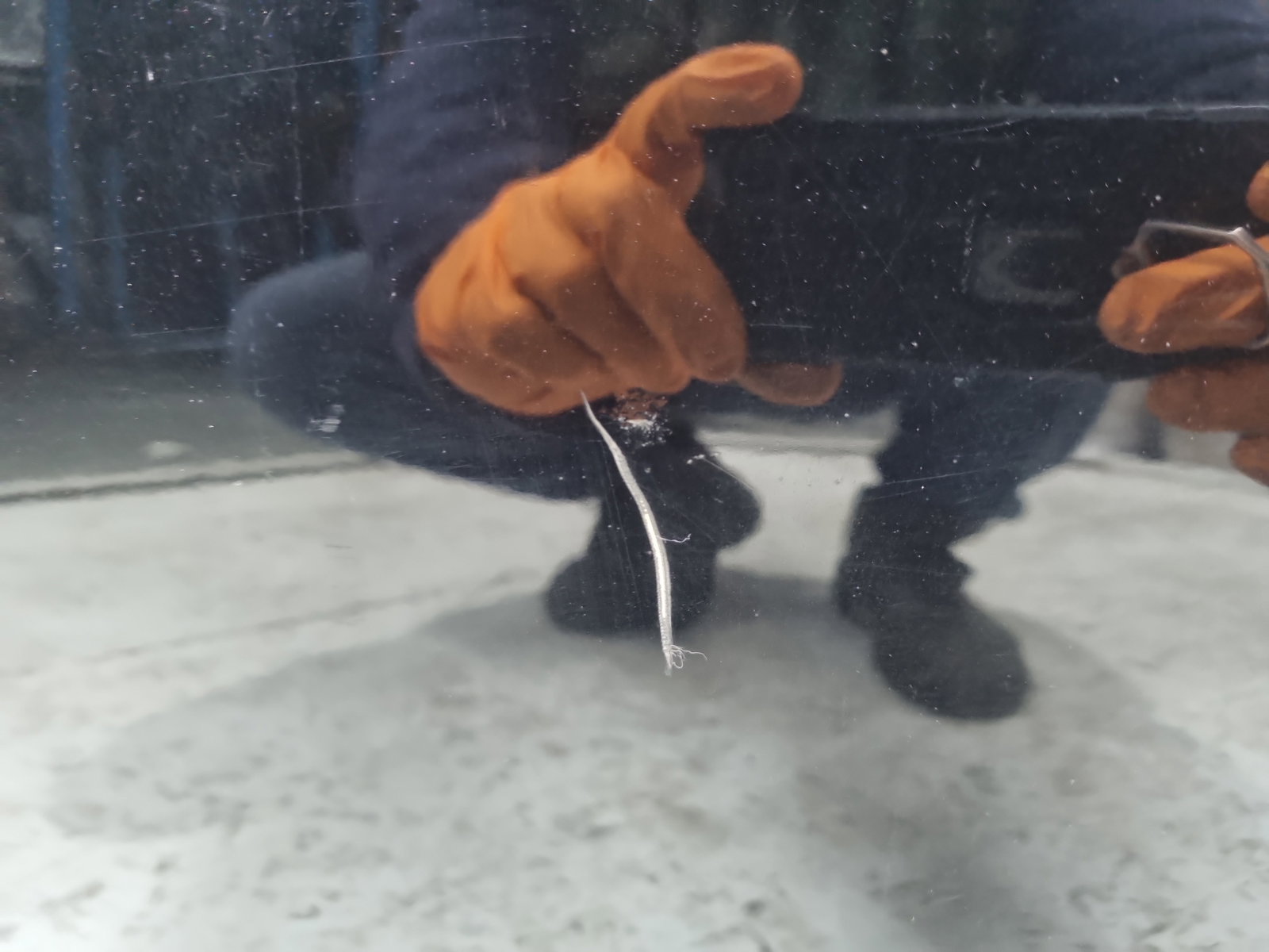 Usa dreapta fata Volkswagen Golf 6 (5K1) [Fabr 2009-2013] Hatchback LC9X - imagine 10