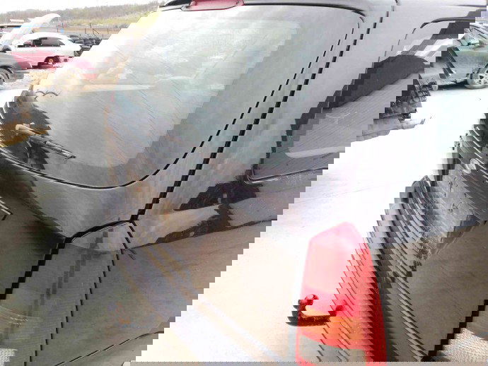 Haion OEM Ford Focus 1 [Fabr 1998-2005] 