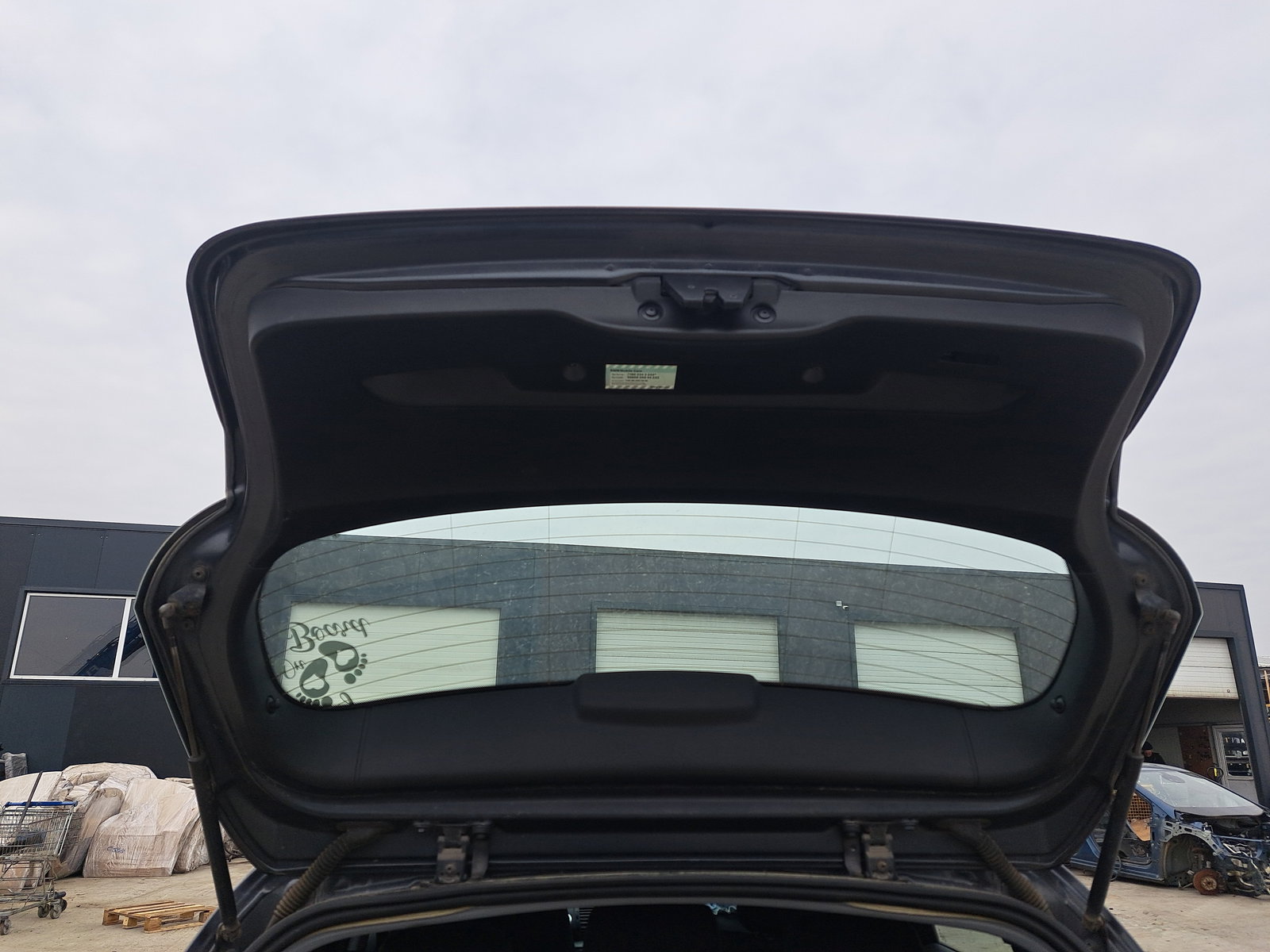 Haion Bmw 1 (E81, E87) [Fabr 2004-2010] Hatchback A22 Sparkling Graph - imagine 2