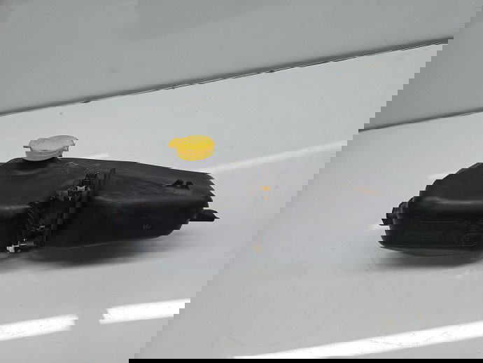  Vas lichid parbriz  Dacia Sandero 2 [Fabr 2012-2020] 289101840R