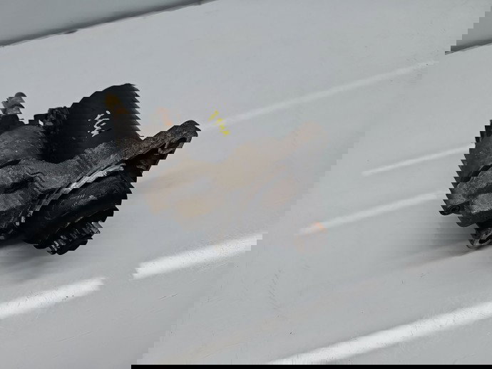  Electromotor Volkswagen Passat B6 (3C2) [Fabr 2005-2010]  02T911023M 1.6 Benz BGU 75KW / 102CP