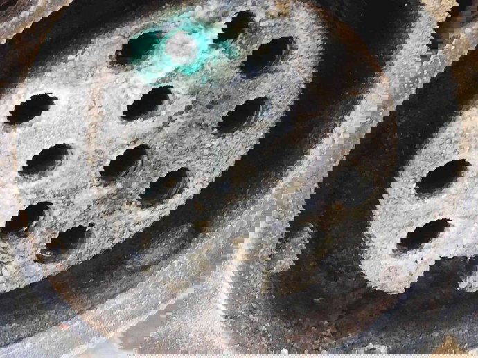 Carlig remorcare OEM Ford Focus 1 [Fabr 1998-2005] 