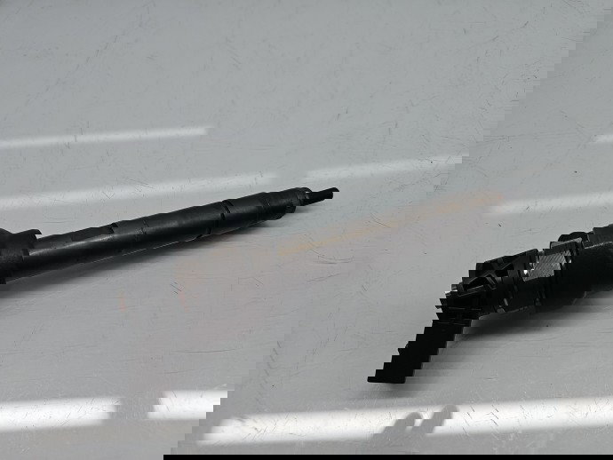 Injector Bmw 5 (F10) [Fabr 2011-2016] 7810702 2.0 N47D20 135KW / 184CP