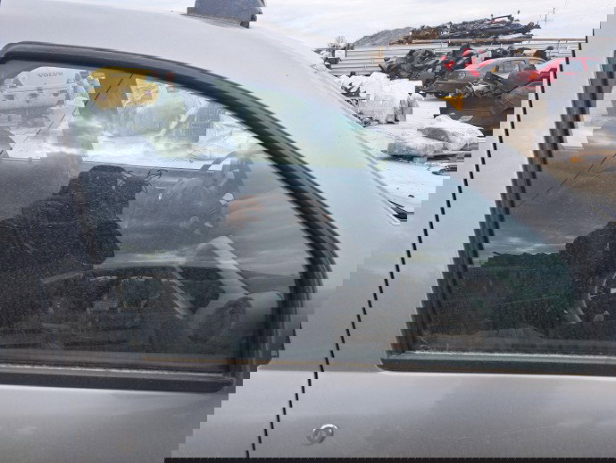 Geam usa dreapta fata Dacia Logan (LS) [Fabr 2004-2012] Berlina OEM