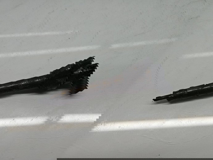 Injector Bmw 3 (E91) [Fabr 2005-2011] 7810702-02 2.0 N47D20 135KW / 184CP