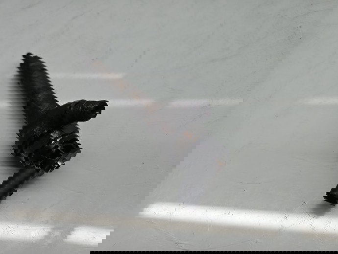 Injector Bmw 3 (E91) [Fabr 2005-2011] 7810702-02 2.0 N47D20 135KW / 184CP