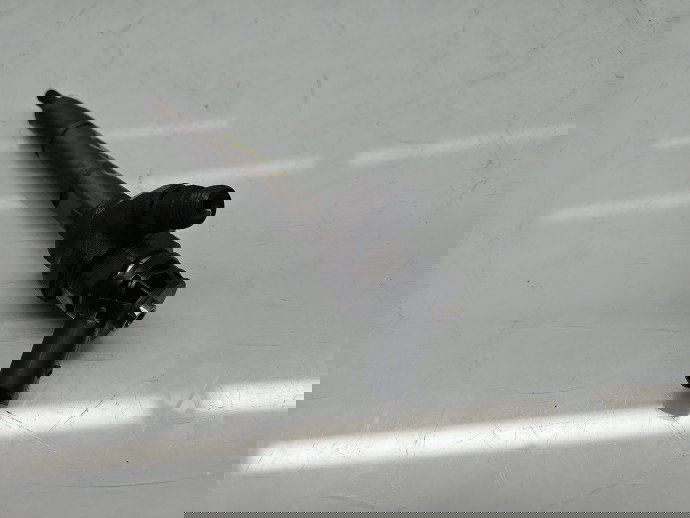 Injector Bmw 3 (E91) [Fabr 2005-2011] 7810720 2.0 N47D20 135KW / 184CP