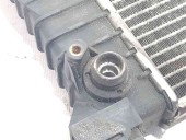 Radiator apa 8E0121251L Audi A4 (8EC, B7) [Fabr 2004-2008] 2.0 BLB