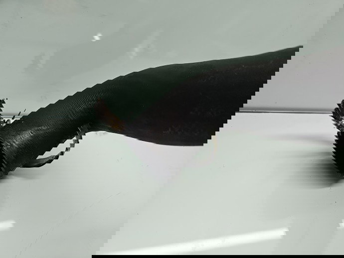 Tub intercooler AUDI A3 Sportback (8PA) [Fabr 2004-2013] 5N0145840K 2.0 TDI CFFB 103KW / 140CP