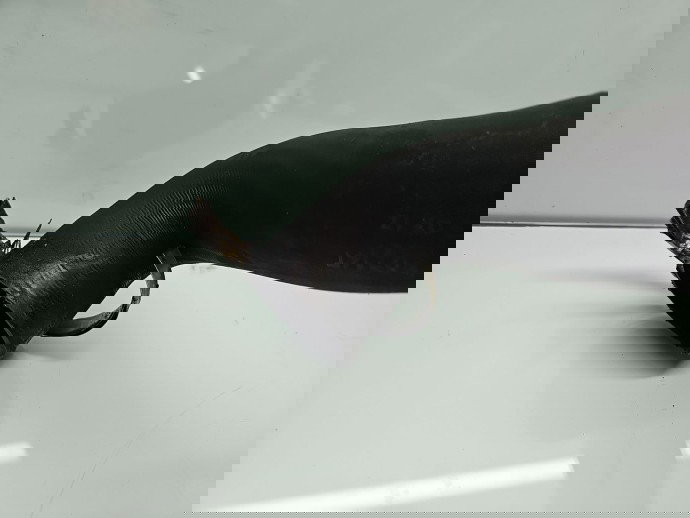 Tub intercooler Volkswagen Sharan (7N) [Fabr 2011-prezent] 5N0145840K 2.0 TDI CFFB 103KW / 140CP