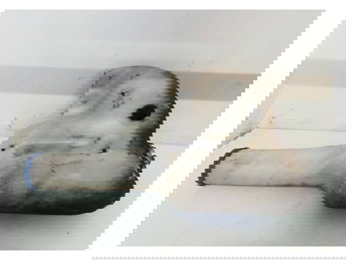 Vas lichid parbriz Mercedes Sprinter 311 CDI A9068690020 2006-2013