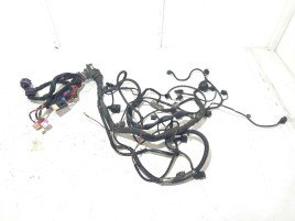 Instalatie motor 8E1971072SK Audi A4 (8EC, B7) [Fabr 2004-2008] 2.0 BLB
