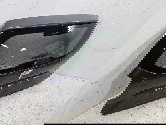 Haion Dacia Duster 2 [Fabr 2017-2023] TED69